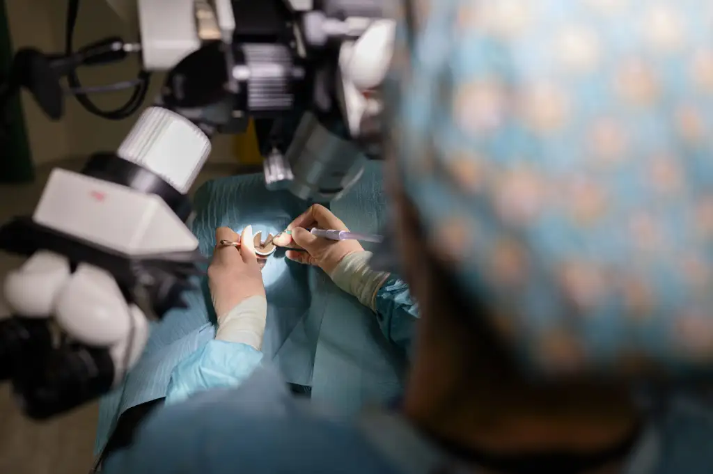Yasmin Abbas in operating theatre